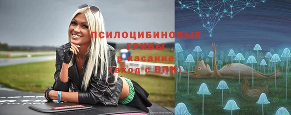 МДПВ Медвежьегорск