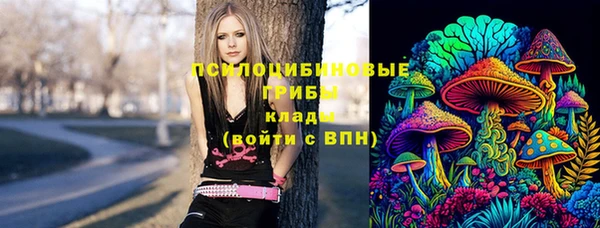 стаф Абдулино