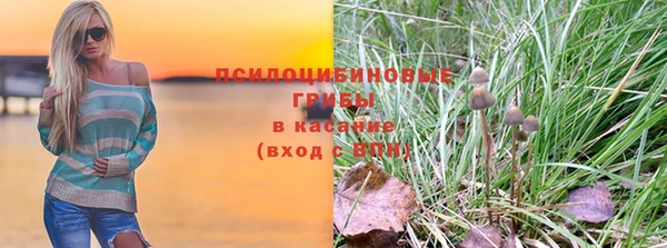 стаф Абдулино