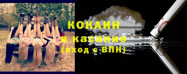 дживик Мегион